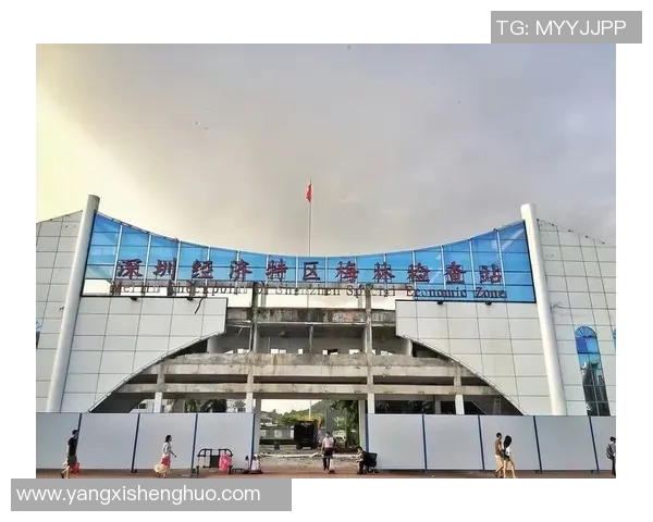 探索上海宝原体育代理品牌的创新之路与市场潜力分析