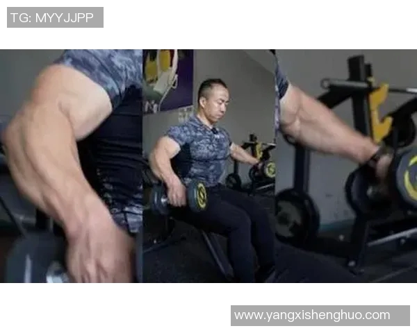 提升哑铃训练效果三角肌锻炼技巧与注意事项分享