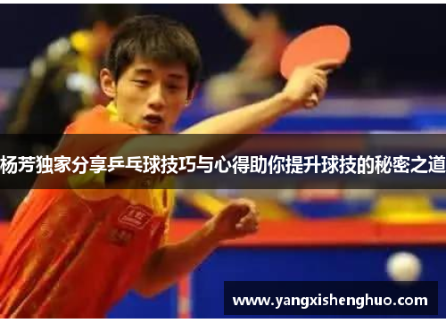 杨芳独家分享乒乓球技巧与心得助你提升球技的秘密之道