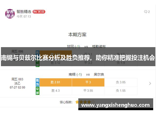 南锡与贝兹尔比赛分析及胜负推荐，助你精准把握投注机会