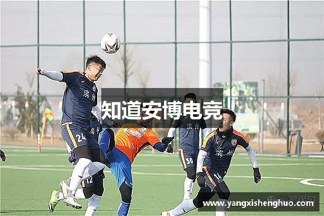 知道安博电竞